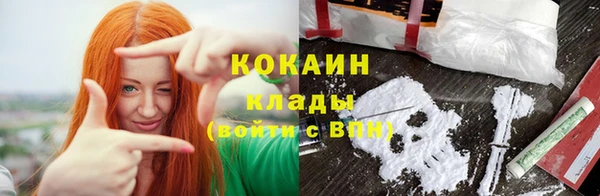 шишки Абинск