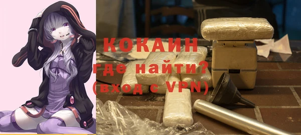 шишки Абинск
