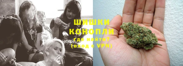 шишки Абинск