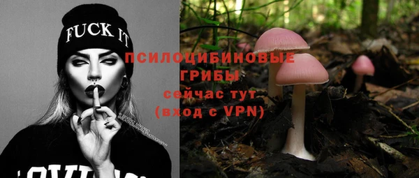 ГАЛЛЮЦИНОГЕННЫЕ ГРИБЫ Абдулино