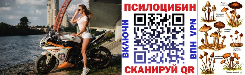 кракен tor  Трубчевск  Галлюциногенные грибы ЛСД  где найти  