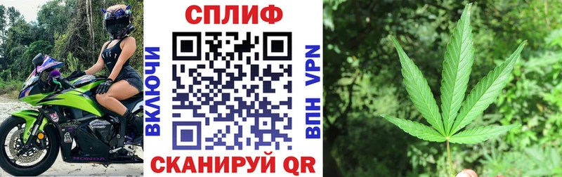 Бошки марихуана White Widow  где можно купить наркотик  Трубчевск 